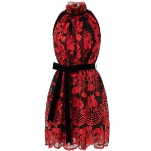 Alexia Admor - floral embroidered ruffle dress